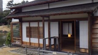 汐留エリアの庭園