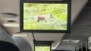 デナリ国立公園