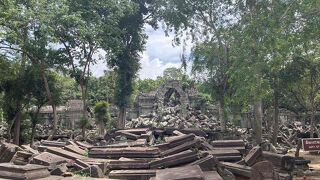 遺跡共通チケットで入場可能