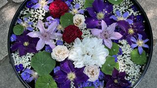 四季折々の宿根草が美しい