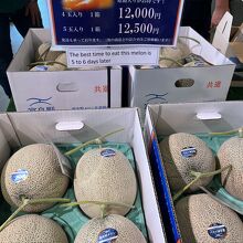 メロン販売