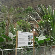 大きな屋根の下の植物園みたいな空間