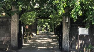 残念ながら入山禁止の看板があり中へは入れませんでしたが、木々が生い茂り、大自然の中にいるような感じでリラックスできました。