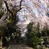 城下町 大垣のシンボル！　～　大垣城