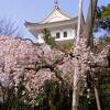 城跡利用の老舗都市公園　～　大垣公園