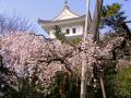 大垣公園
