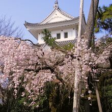 大垣公園