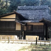 《東京国立博物館》【本館庭園】「春草廬」