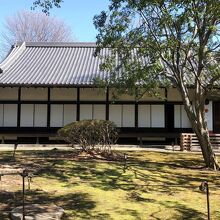 《東京国立博物館》【本館庭園】「応挙館」と「TOHAKU茶館