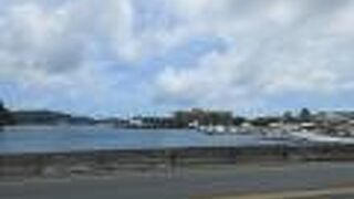 ダイビングショップが多い