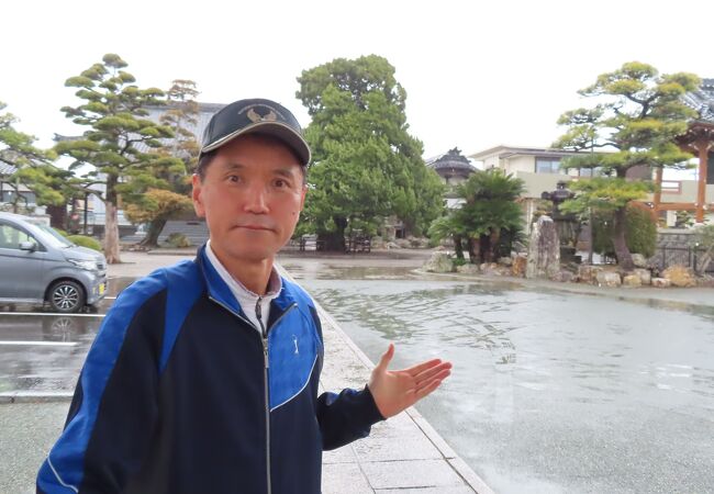 いぶきの木がある寺院