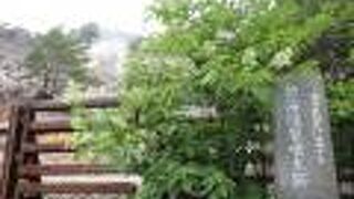 新湯爆裂噴火口跡