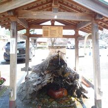 株湯