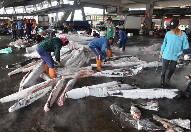サメ、カマス、シイラなどを水揚げ、たくさんの人が働いていた
