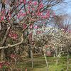 梅小路公園