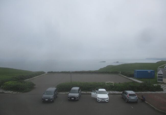 湿原の景色を満喫できました