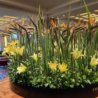 素晴らしいフラワーアレンジですね。