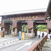巨木の森、日の出、雲海などを楽しめる。訪ねたときは雨続きで、見られずに下山した