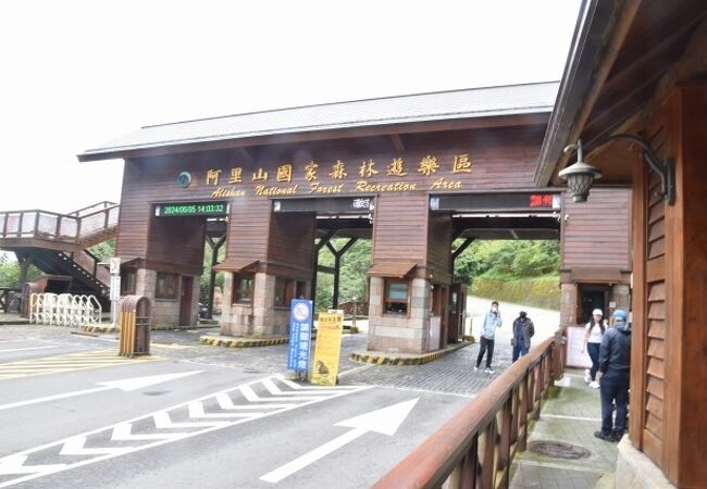 巨木の森、日の出、雲海などを楽しめる。訪ねたときは雨続きで、見られずに下山した