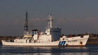 ミツユビカモメが見られました。