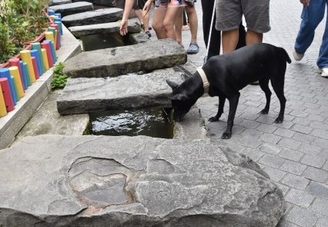 洗衫坑 (南庄老街)