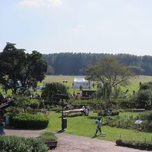 都立水元公園