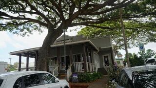 ここにかないものも