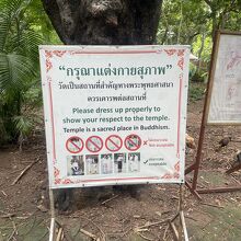 ワット ウモーン