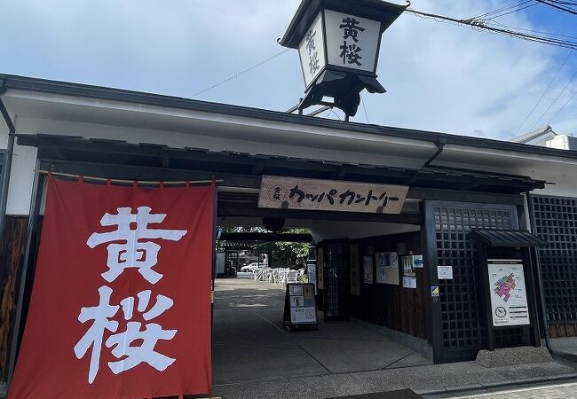 黄桜酒場
