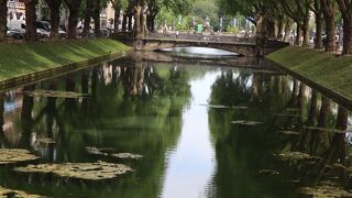 カレンダーのスケッチを見てから、1度見て見たかった木々の景色