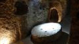 アリの巣のような地下迷路を体験できる