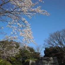 武蔵庭園からの眺めが素晴らしい
