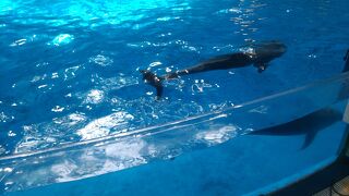 久しぶりに行ってました