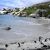 Boulders penguin colony
