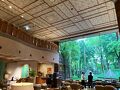 森のスパリゾート　北海道ホテル 写真