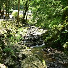 参道のそばを流れる