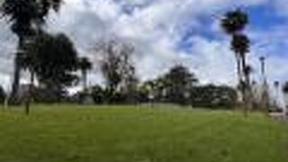 都会に溶け込む緑豊かな自然