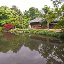 元は巨刹・宝幢寺の庭園