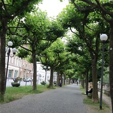 公園までの道・・緩やかな坂道