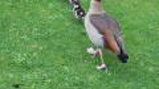 ヴァルマー ダム