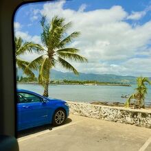 ハレイワ アリイ ビーチ パーク