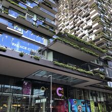 裏手の芝生広場から