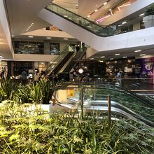 館内も緑化済み？