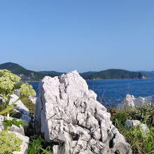 白崎海洋公園 展望台