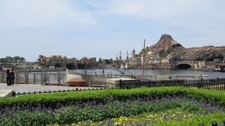 １０年ぶりのシー