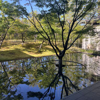 ロビーから見える中庭