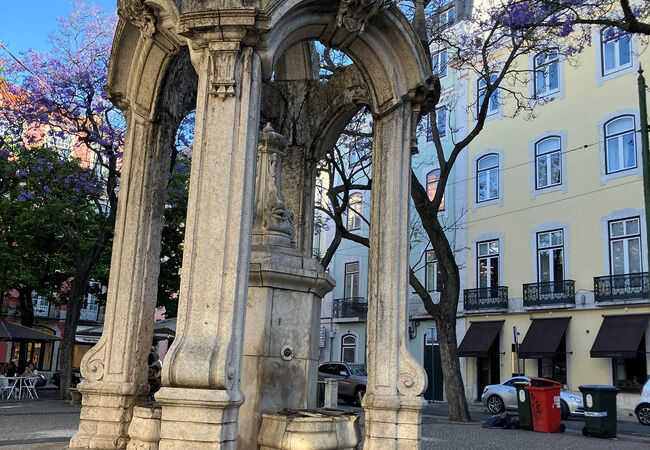 ジャカランダの季節に