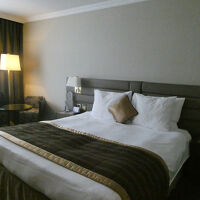 部屋は豪華な造りです