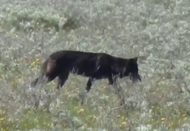 ヘイデンバレー