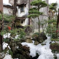 庭の眺めが素敵